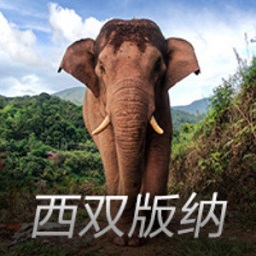 博主：此前受伤的林良铭已归队训练，有望在京津德比中复出